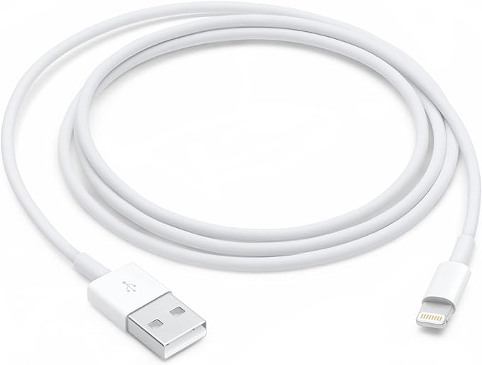 Apple Lightning to USB Cable (1m)